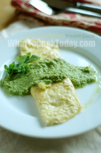 Cheese Omelet with Poblano sauce
