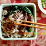 asian-style noodle soup asian-style noodle soup