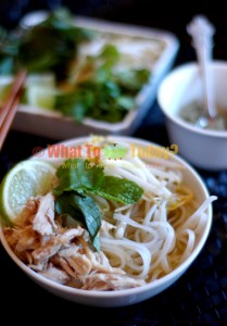 PHO GA/ GINGER CHICKEN NOODLE SOUP