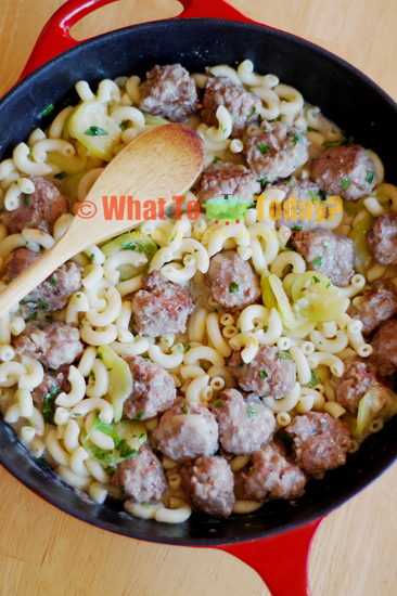 TURKEY MEATBALL STROGANOFF TURKEY MEATBALL STROGANOFF