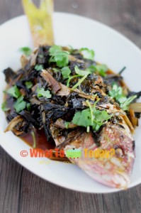 BRAISED FISH WITH PRESERVED VEGETABLES