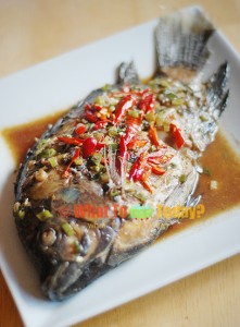 HONG KONG STYLE STEAMED FISH