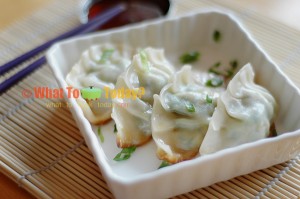 GYOZA/ JAPANESE PAN-FRIED DUMPLINGS