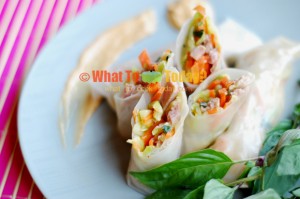VEGETABLE SPRING ROLLS WITH COCONUT AND PEANUT DIP