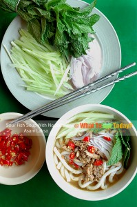 SOUR FISH SOUP WITH NOODLES / ASAM LAKSA