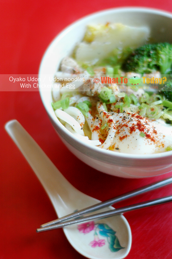 OYAKO UDON / UDON NOODLES WITH CHICKEN AND EGG OYAKO UDON / UDON NOODLES WITH CHICKEN AND EGG