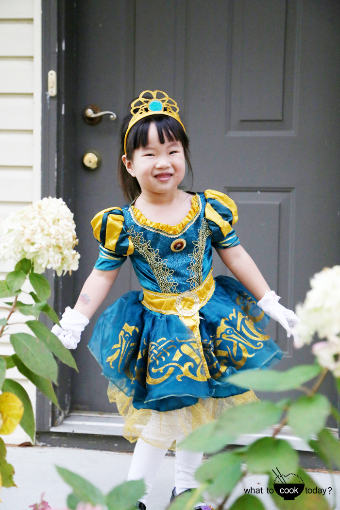 Brave dress up costume
