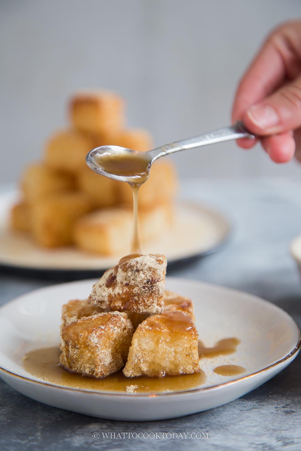 Fried Pounded Glutinous Rice Cake with Brown Sugar Syrup (Hong Tang Ci Ba)