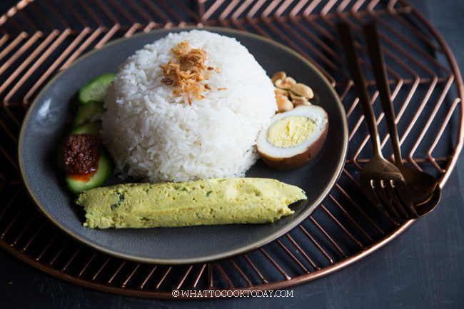  Rice  Cooker  or Instant Pot Nasi  Gurih  in 3 Simple Steps 