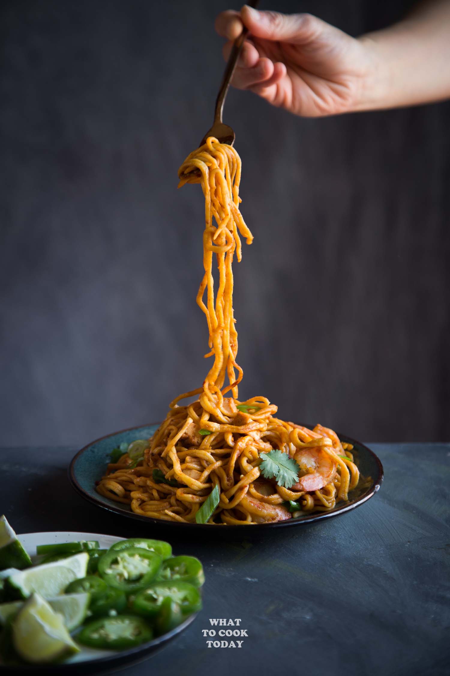 Mee Goreng (Stir Fried Noodles) - Farah J. Eats