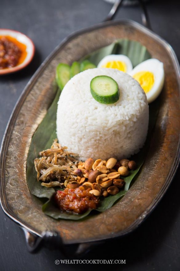 Easy Nasi Lemak (Singapore/Malaysia Coconut Milk Rice)