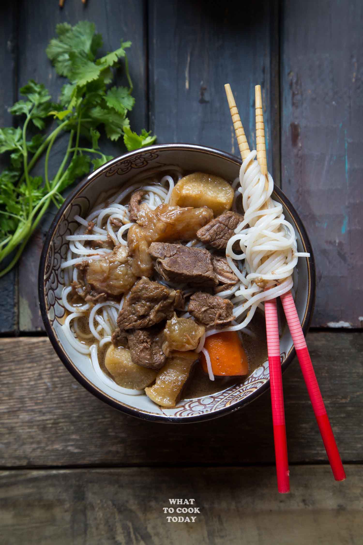 Pressure Cooker Beef Stew with Tendon and Daikon