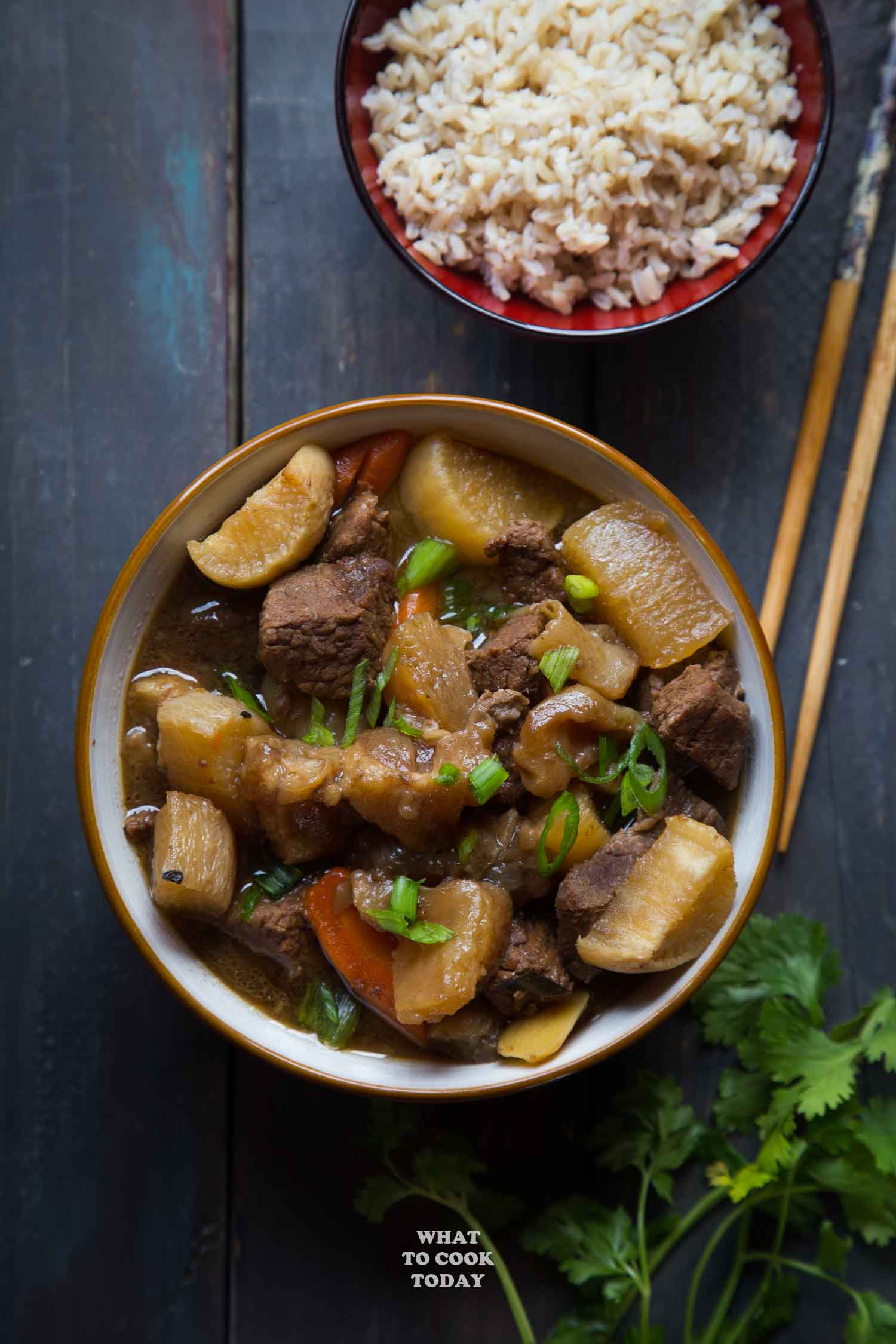 Pressure Cooker Beef Stew with Tendon and Daikon