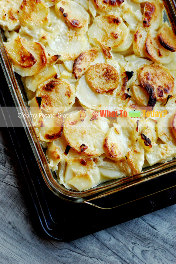 Creamy Potato Gratin