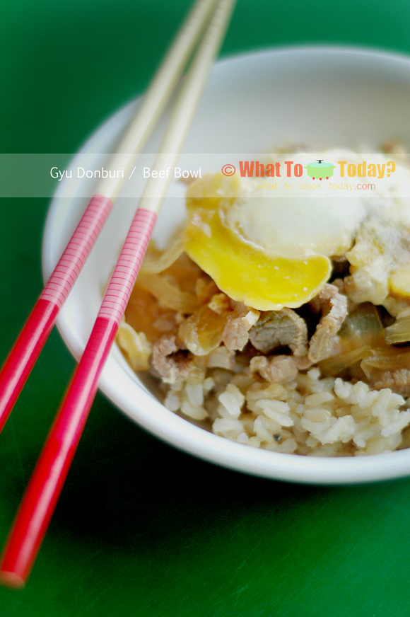 GYU DONBURI / BEEF BOWL 