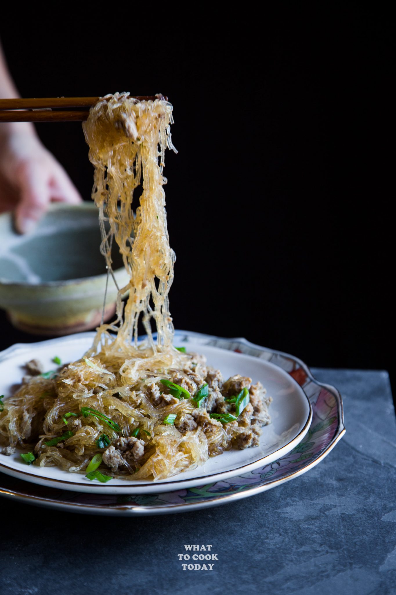 Ants Climbing a Tree - Glass Noodle Stir-fry (Ma Yi Shang Shu)