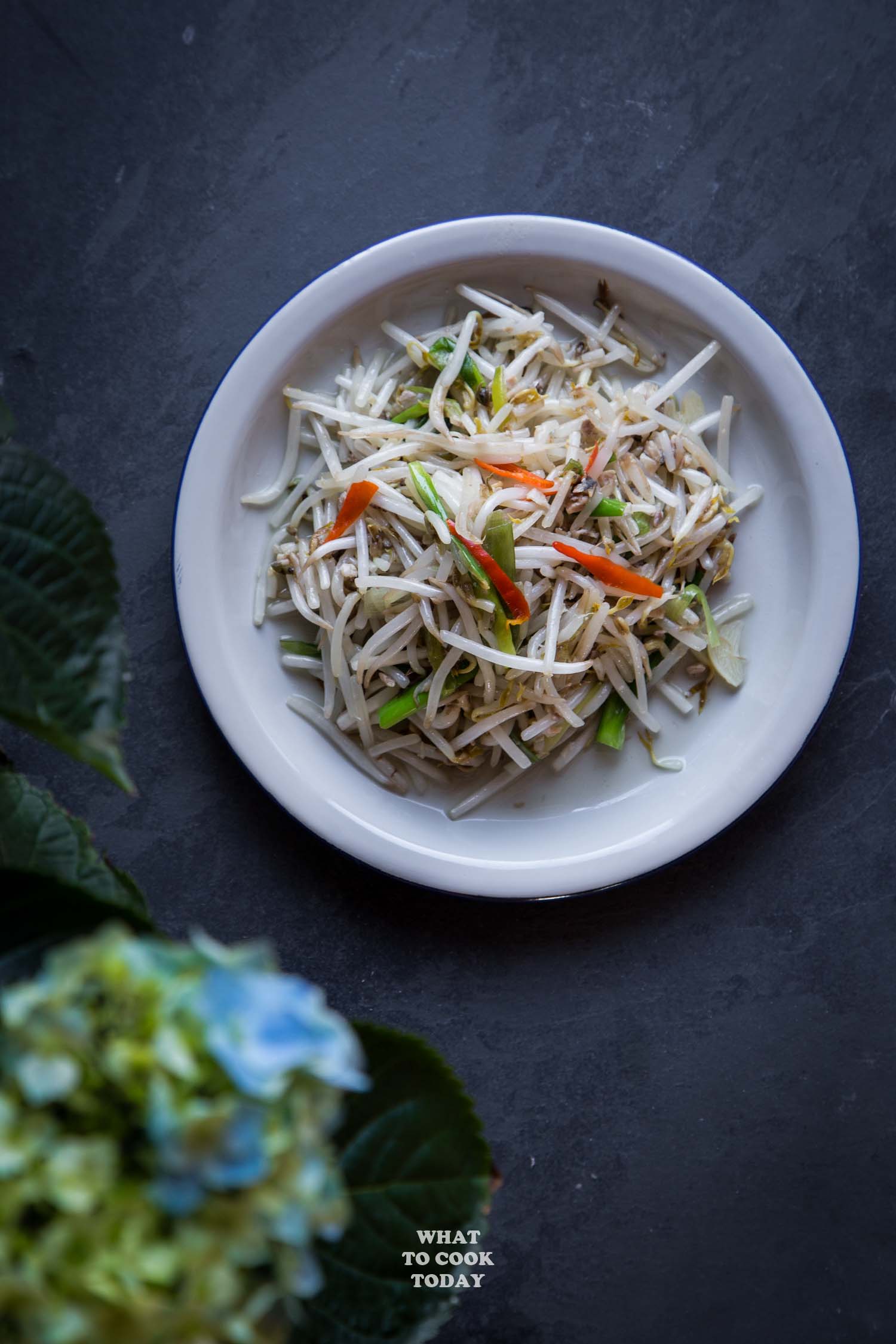 Tumis tauge ikan asin / Stir-fried bean sprouts with salted fish