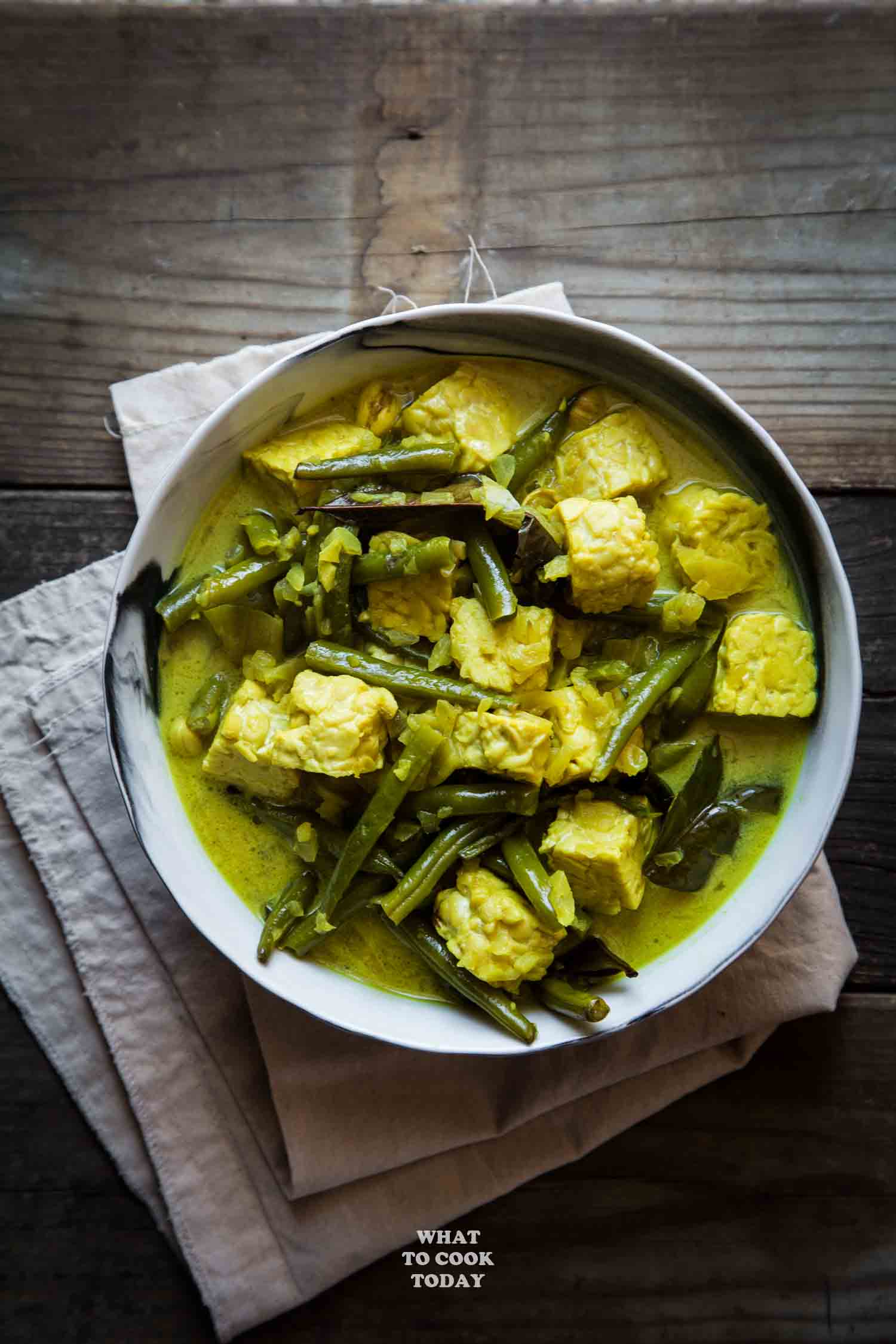 Gulai Tempeh Tempeh Stew