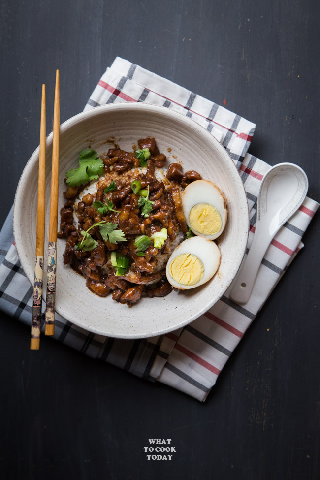 Pressure Cooker Lu Rou Fan Taiwanese Braised Pork Belly Rice