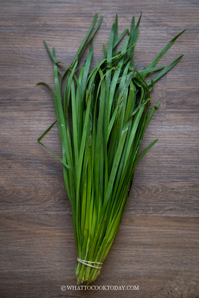 Garlic Chives / Chinese Chives