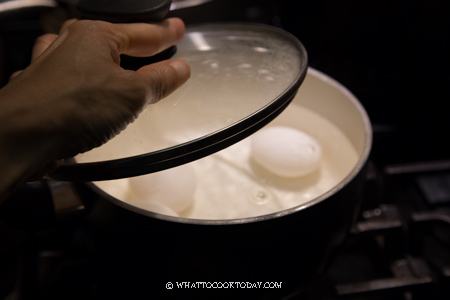 Soft boiled egg machine (SBEM/H) - SGE Singapore