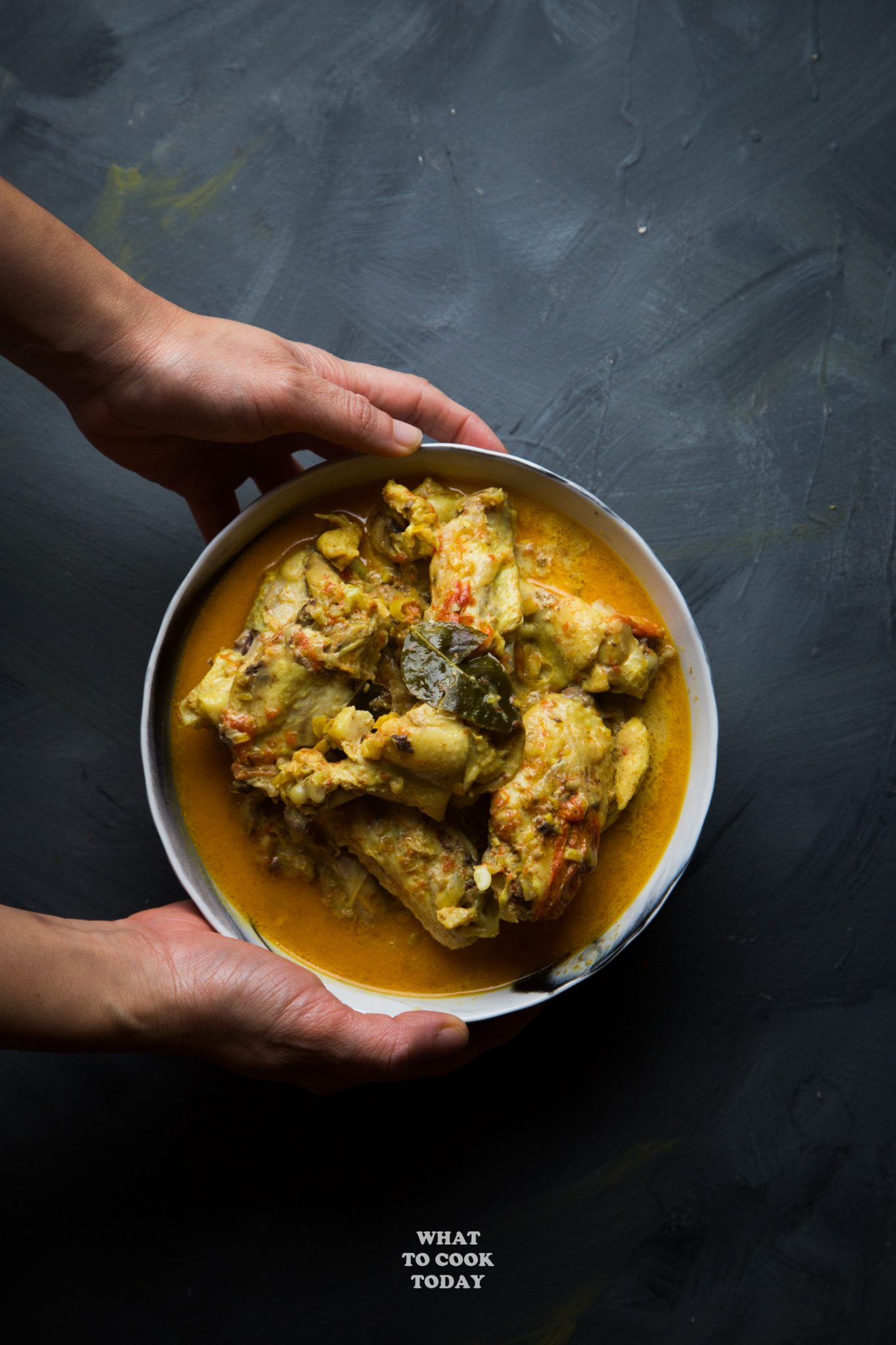 Instant Pot Indonesian Curry Chicken (Kari Ayam) - What To Cook Today