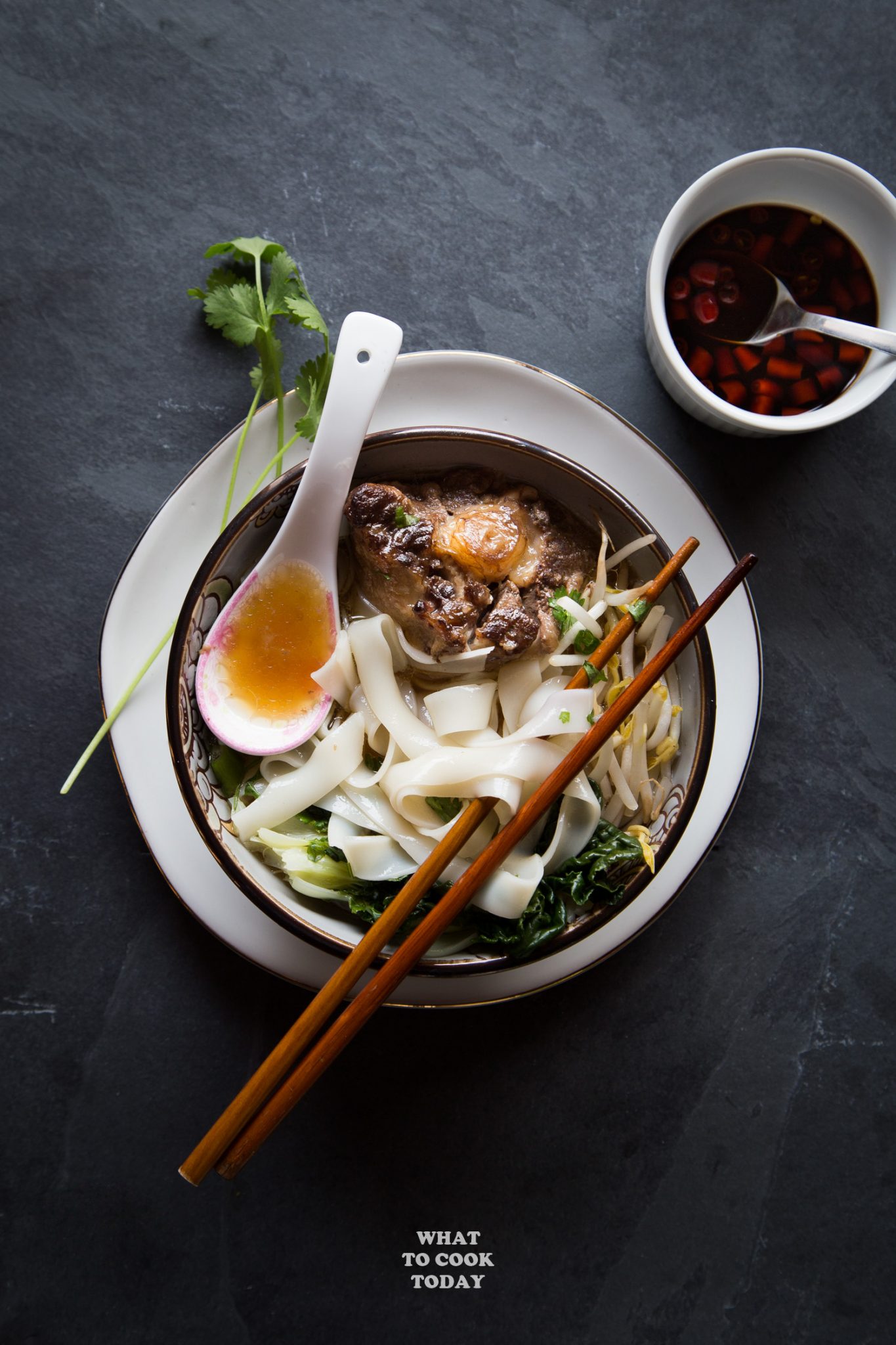 Instant Pot Oxtail Ho Fun Noodle Soup