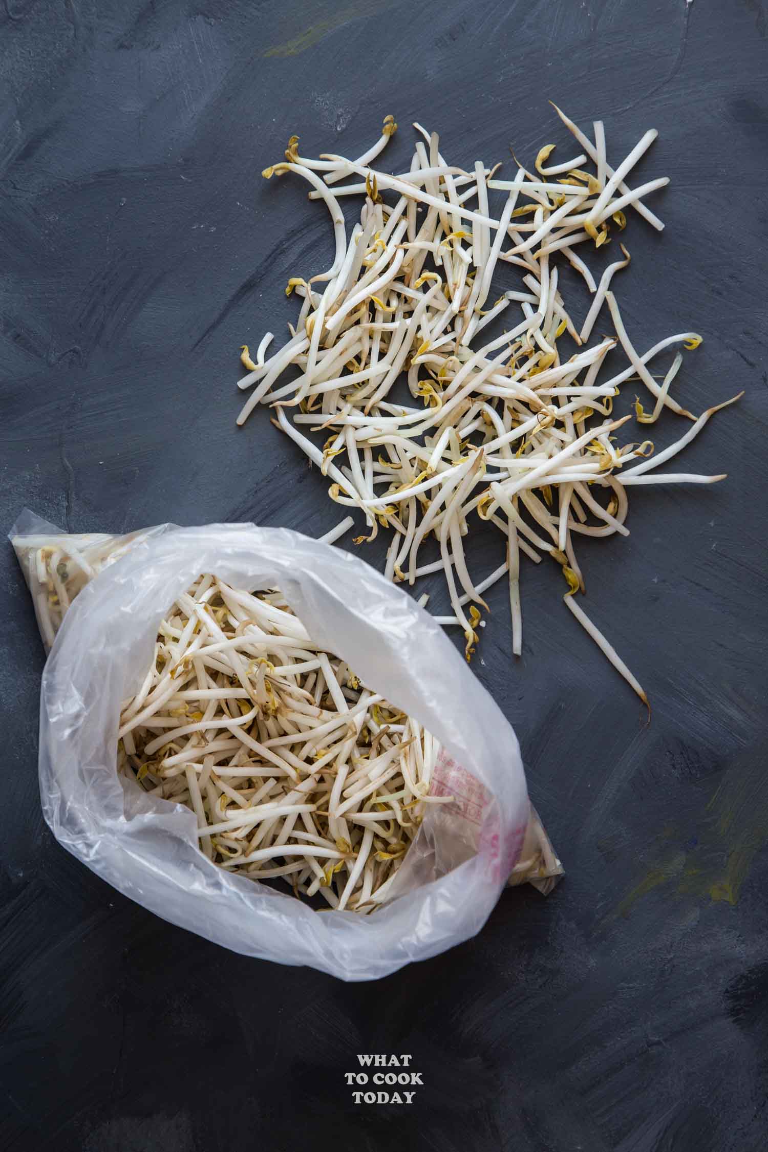 mung bean sprouts