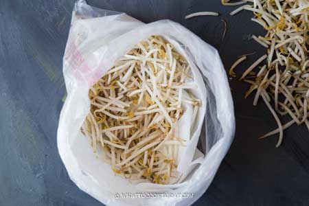 Easy Japanese Bean Sprouts Salad - Asian Caucasian Food Blog