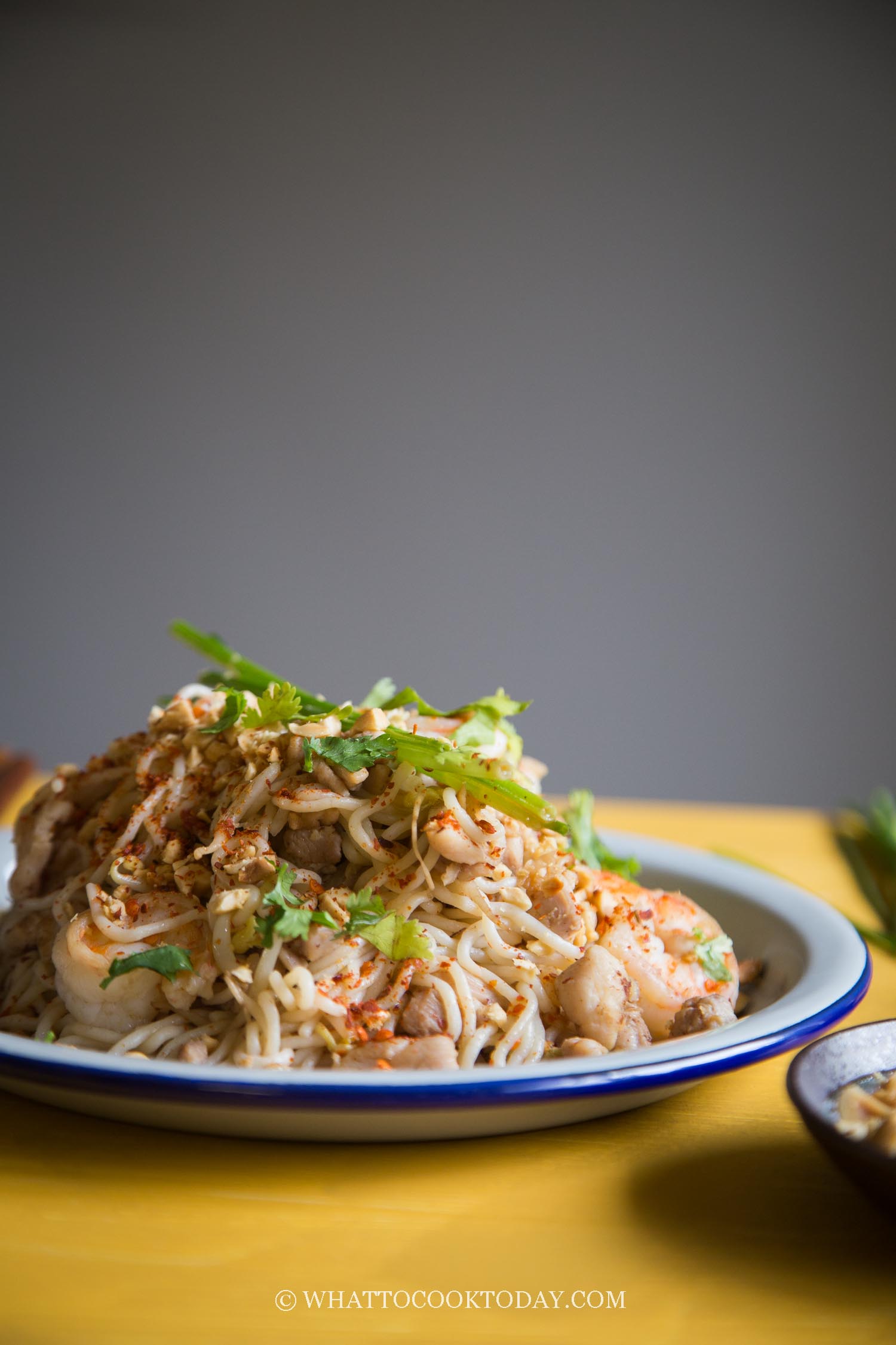 Stir-fried Shirataki (Miracle Noodles) Pad Thai