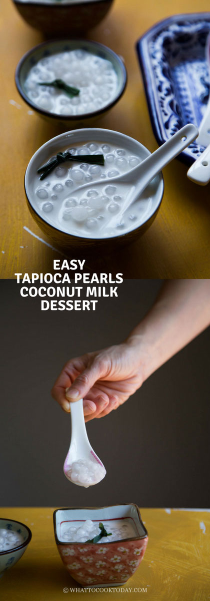 Easy tapioca pearls coconut milk dessert