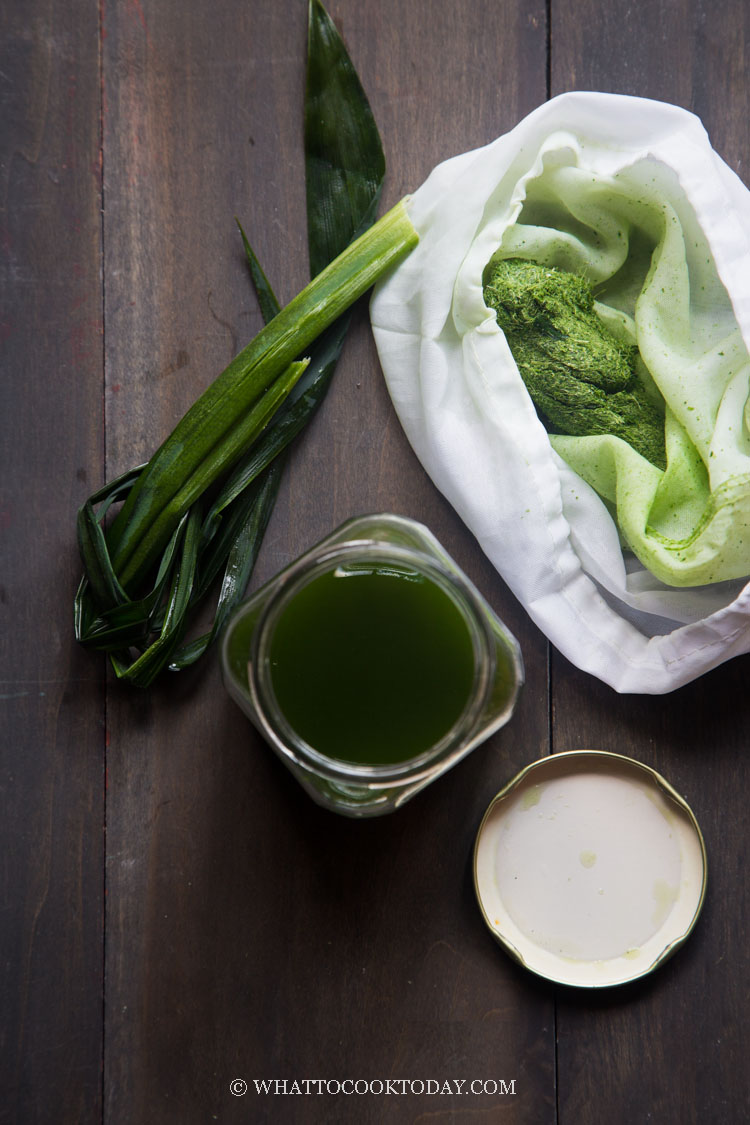 how-to-make-pandan-juice-and-pandan-extract