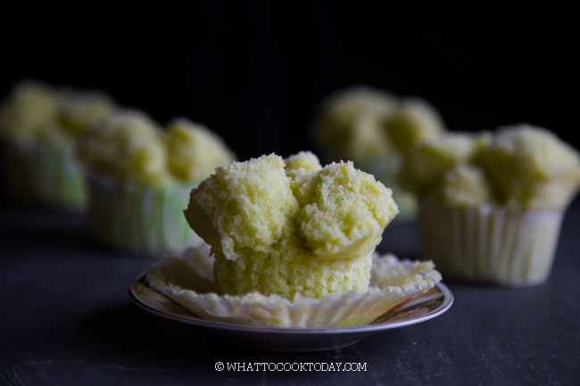 Pandan Coconut Huat Kueh (Fatt Koh)