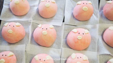 piggy steamed buns 7 1