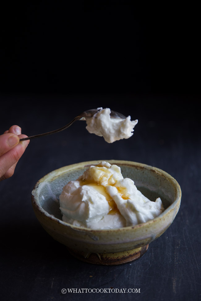 Easy Thick Creamy Instant Pot Greek Yogurt (from yogurt or whey)