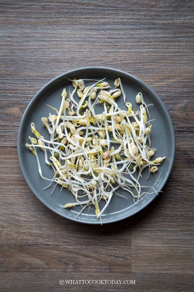 How To Sprout Mung Beans (Mung Bean Sprouts)