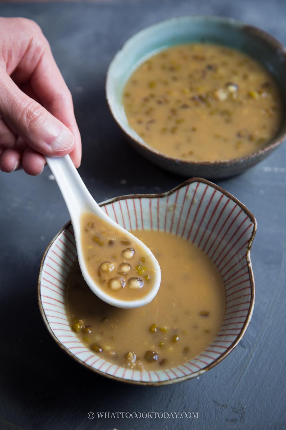 Sweet Mung Bean Green Bean Soup with Sago Pearls Bubur Kacang Hijau