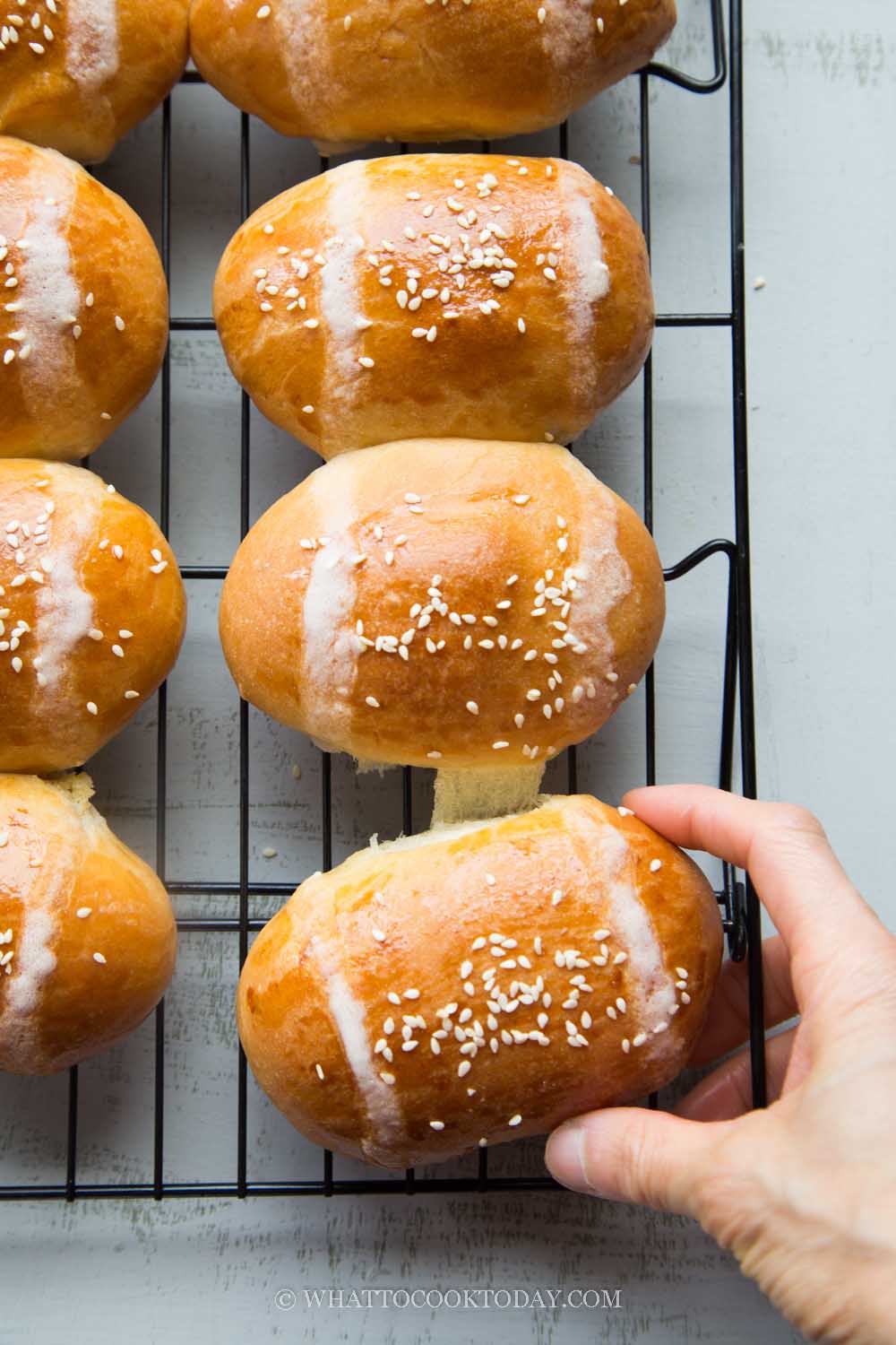 Hong Kong Cocktail Buns (Coconut Buns - 雞尾包)