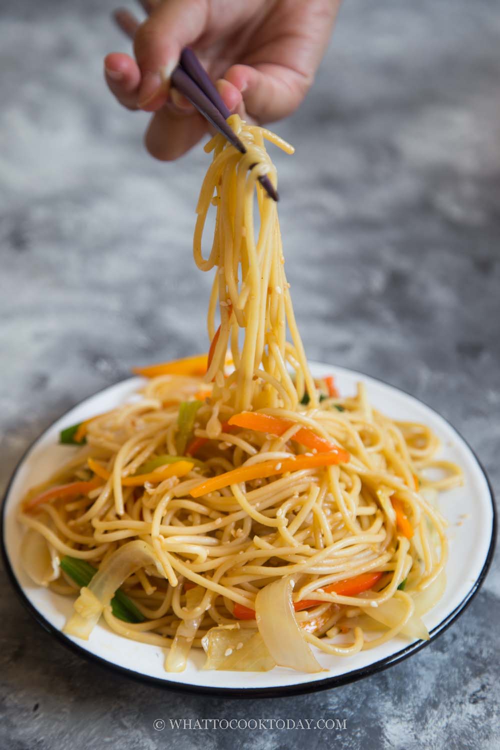 Chicken Hakka Noodles - Sinfully Spicy