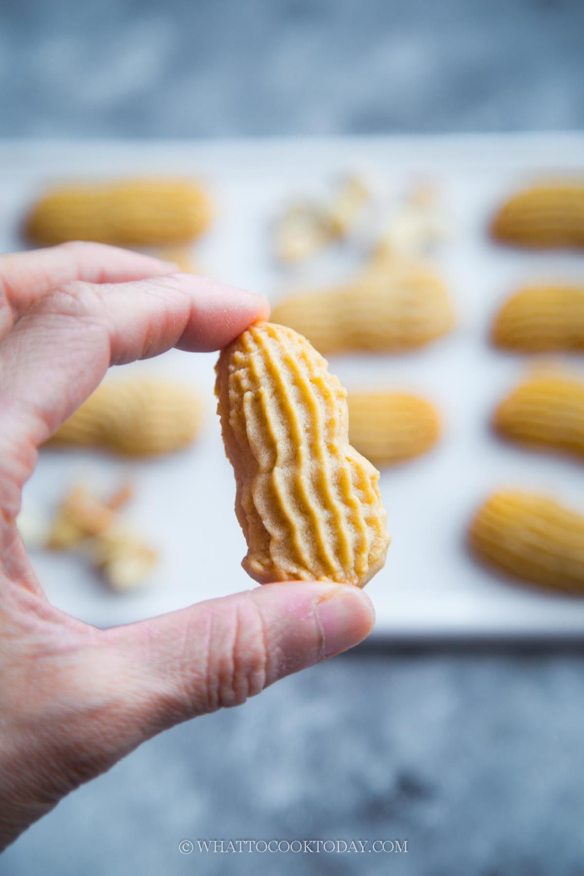 Crispy Crunchy Peanut-Shaped Butter Cookies