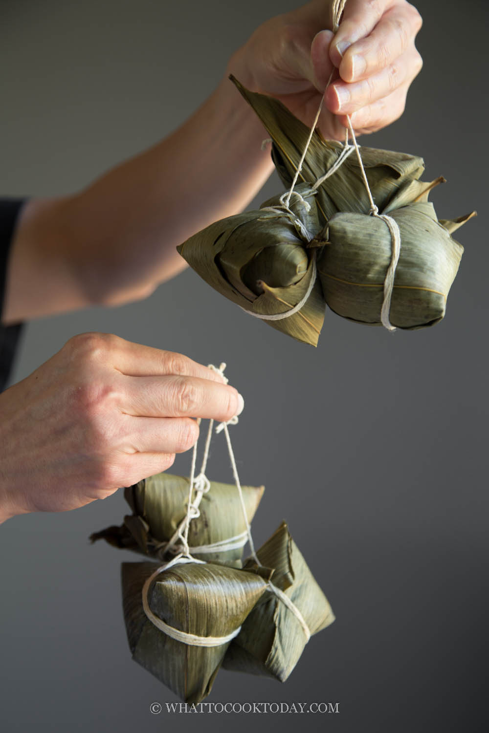 Vegetarian Zongzi (Sticky Rice Dumplings)