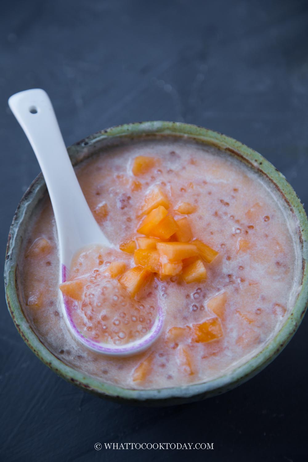 Tapioca Melon Dessert Soup (sakoo cantaloupe) - Hot Thai Kitchen!