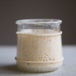 How To Create and Maintain Small Batch Sourdough Starter