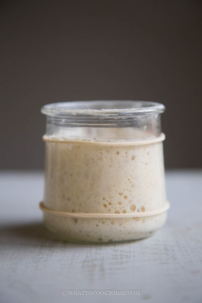 How To Create and Maintain Small Batch Sourdough Starter