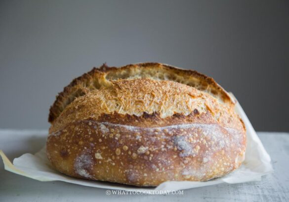 Small No-Knead Sourdough Country Bread/Pain de Campagne