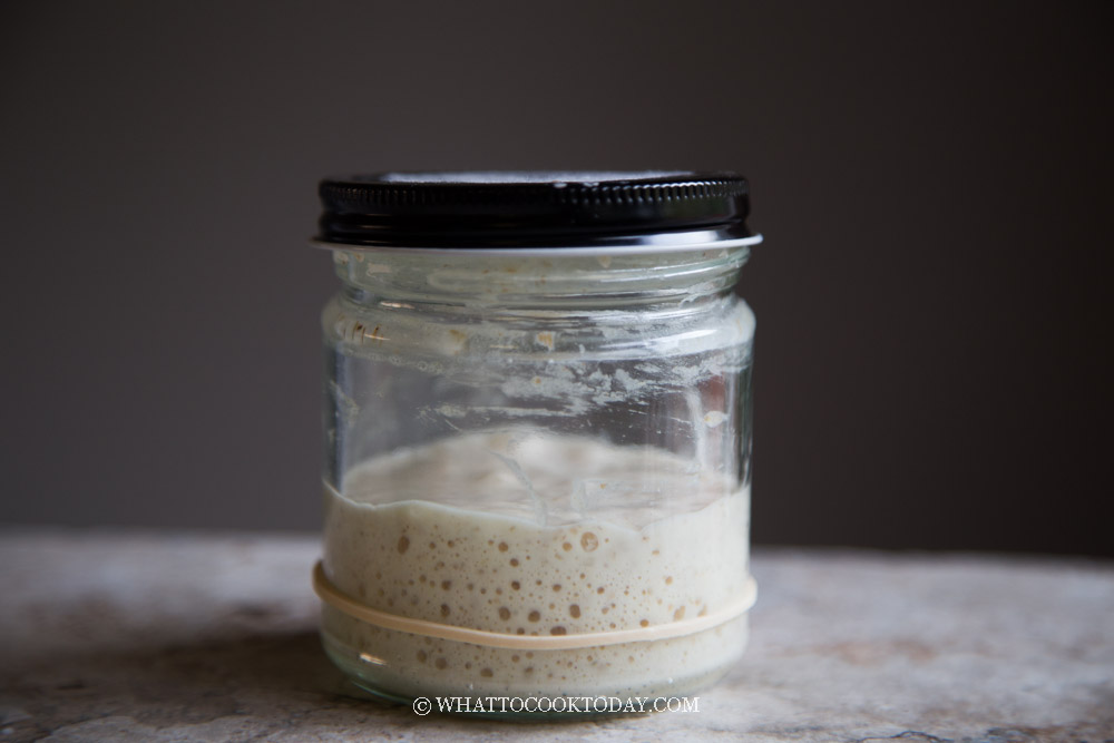 https://whattocooktoday.com/wp-content/uploads/2022/09/sourdough-starter-2.jpg