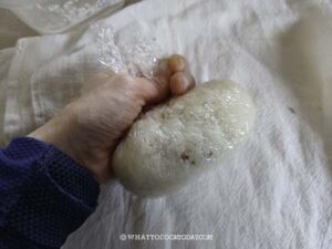 Si Fan Rice Fan Tuan/Ci Fan (Stuffed Sticky Rice Rolls)