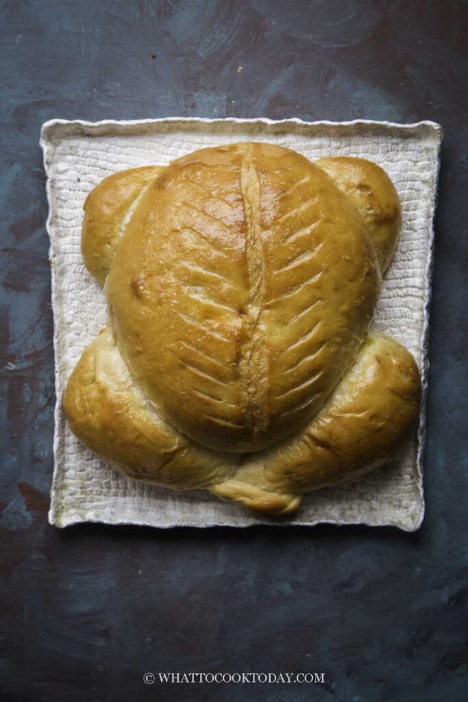 Easy No Knead Soft Turkey Shaped Milk Bread with Sourdough option