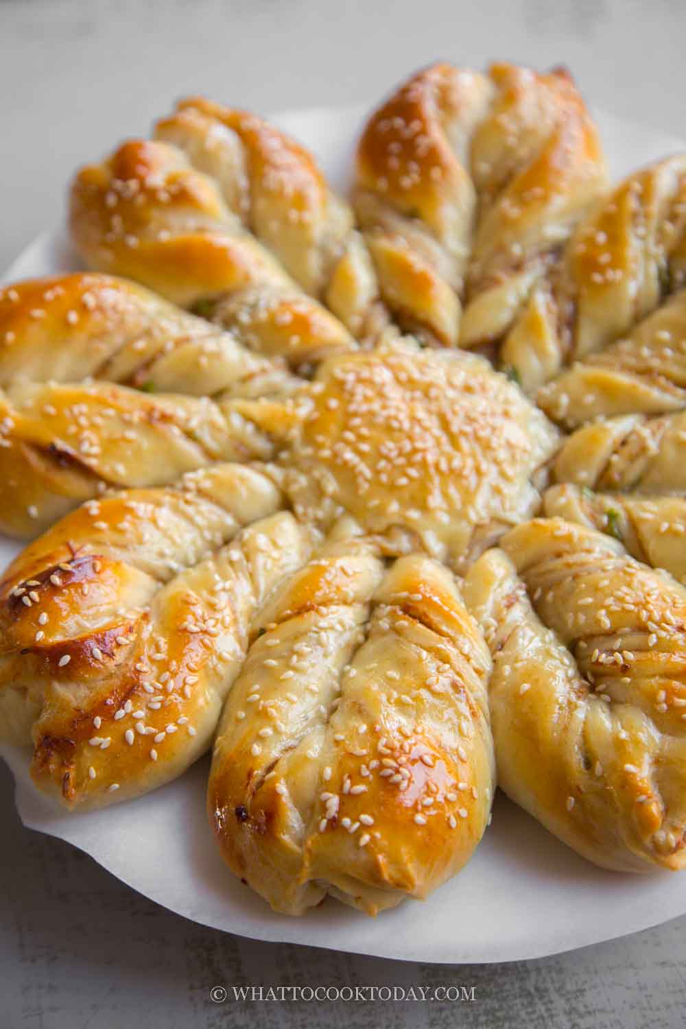 Savory Star PullApart Milk Bread (Pork Floss Scallion)