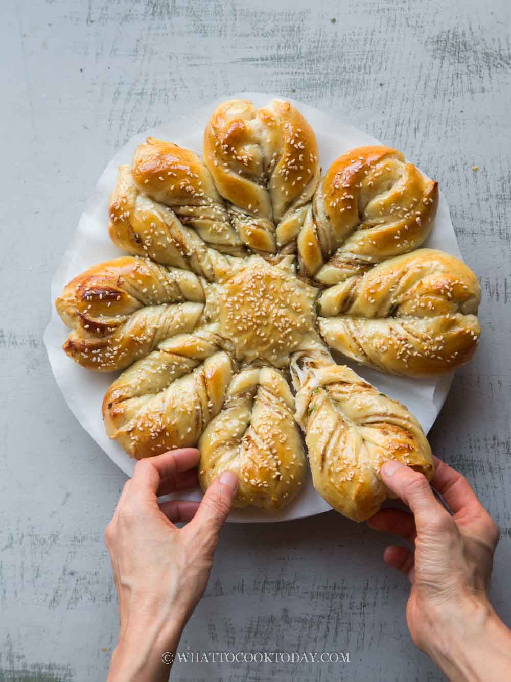 Savory Star PullApart Milk Bread (Pork Floss Scallion)
